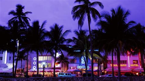 palm trees, evening, neon, beach, Grand Theft Auto Vice City, hotels ...