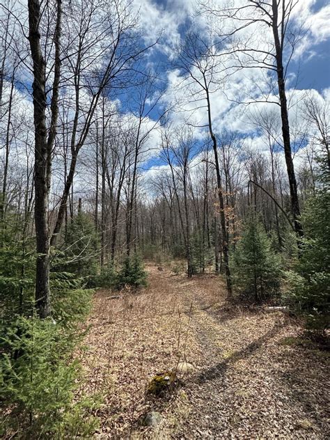 Pelican Lake, Oneida County, WI Undeveloped Land for sale Property ID ...