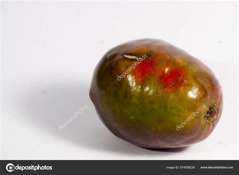 Jocotes In English 4 Tree Cuttings Of Jocote Aka, Spanish Plum,