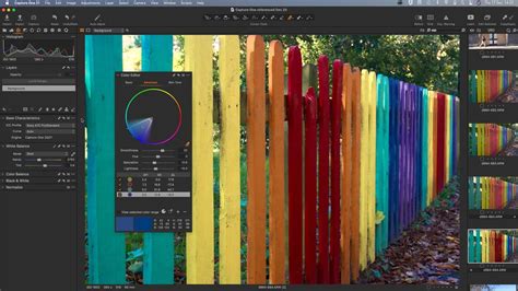 Image result for Capture One 21 Tutorials