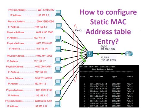 Internetworks: How to configure Static MAC Address table Entries?