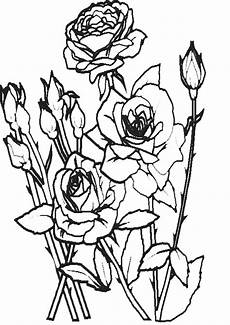 malvorlage blumen zum ausdrucken ausmalbilder blumen 9 ausmalbilder malvorlagen malvorlage blumen zum ausdrucken ausmalbilder blumen 9 ausmalbilder malvorlagen