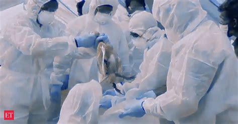 Bird flu: Bid flu outbreak: Central team reaches Kerala - The Economic ...