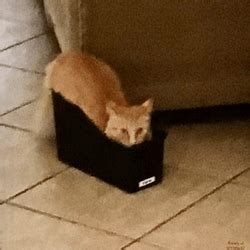 Image result for No Internet Connection
