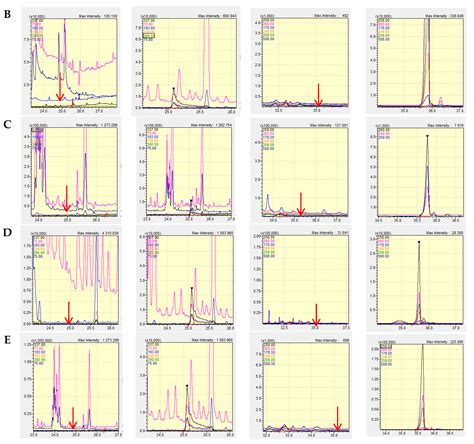 Silent Bird Poisoning in Poland: Reconfirmation of Bromadiolone and ...