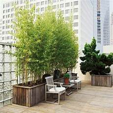sichtschutz terrasse pflanzen bamboo balcony privacy screen design ideas for a feng sichtschutz terrasse pflanzen bamboo balcony privacy screen design ideas for a feng