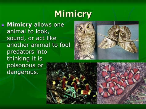 Image result for Applications of Greedy Algorithm