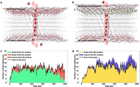 Water Diffusion 的图像结果