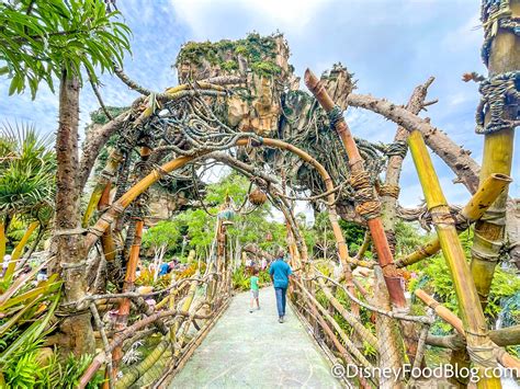 Pandora – The World of Avatar in Disney World's Animal Kingdom | the ...