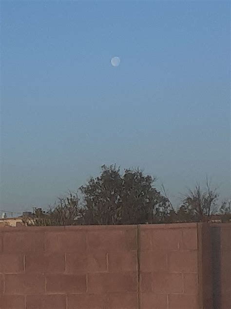 Mulberry Farms-High Desert camping! - Hipcamp in Ridgecrest, California