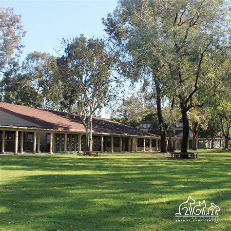 Irvine Animal Care Center | 🐹 Meet our dwarf hamsters! They may be ...