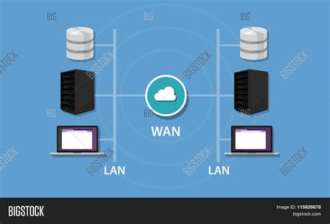 Networks 的图像结果