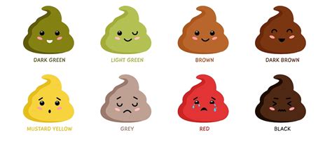 Image result for Healthy Poop Color