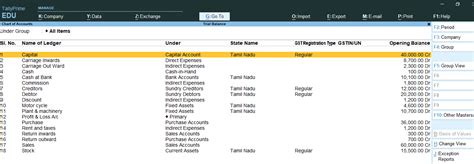 Example Trial Balance Tally Prime in Tamil