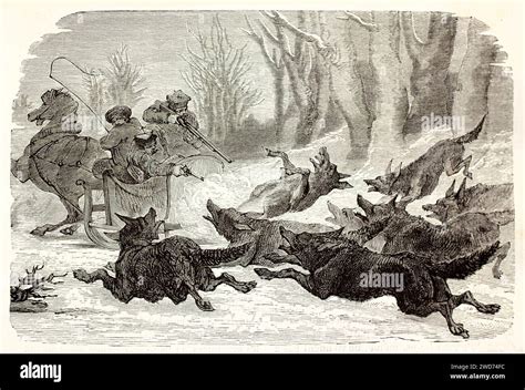 Image result for Human Wolves 1914