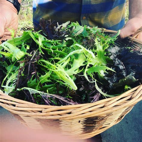 Beacon Farmers Market