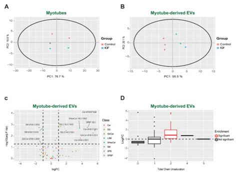 Skeletal Muscle Cell Growth Alters the Lipid Composition of ...