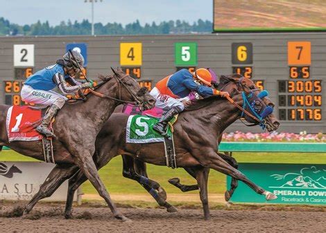 Longacres Mile Tops Revised Emerald Downs Schedule - BloodHorse