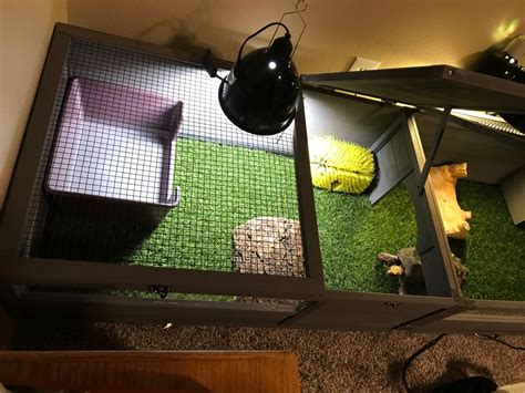 Tortoise Diet Aivituvin Wooden Tortoise Habitat - Indoor/Outdoor ...