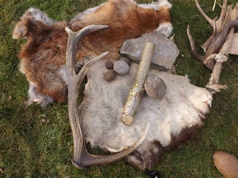 Primitive Videos 的图像结果