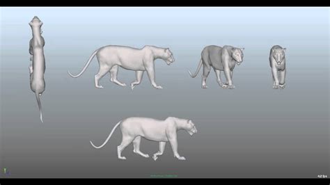 Tiger Walk Cycle Tutorial 的图像结果