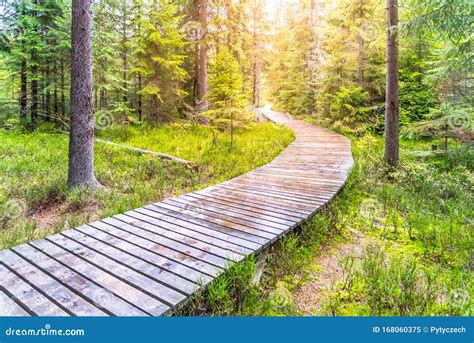 Walk Path 的图像结果