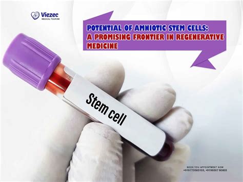 Placenta Stem Cells: Benefits, Therapy & Storage Guide