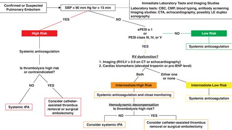Pulmonary Embolism Classification