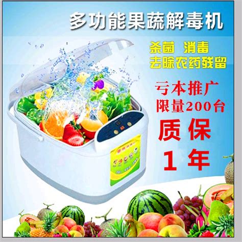 联保发票全自动洗菜机 果蔬臭氧解毒机 蔬果清洗机活氧高效去农药_yaoqing830