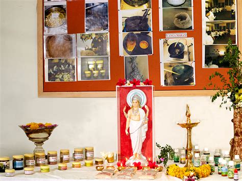 About the Hospital - DPU Ayurved College