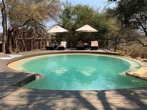 AHA MAKALALI PRIVATE GAME RESERVE (Hoedspruit) - Lodge Reviews, Photos ...