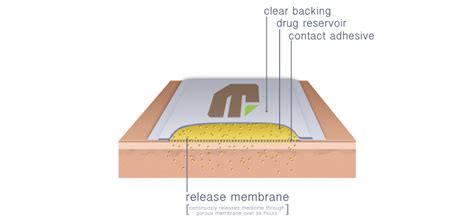 Transdermal Patch 的图像结果