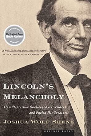 Buy LINCOLNS MELANCHOLY: How Depression Challenged a President and ...