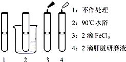 24．下列各组离子反应可用H++OH-H2O表示的是( ) A．氢氧化钡和硫酸 B．氢氧化铁和盐酸 C．硝酸和氢氧化钠 D．硫酸氢钠和氢氧化钡 ...