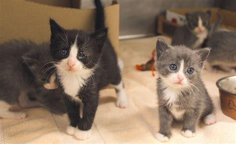 Make a Donation Today!