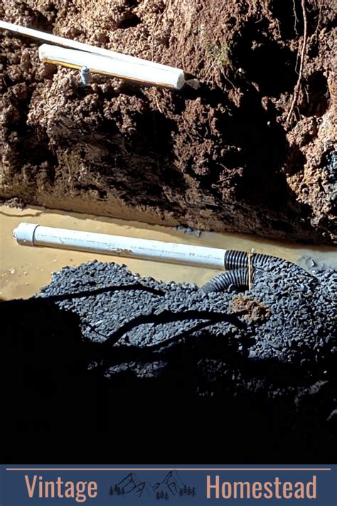 Image result for Tapping a Natural Spring