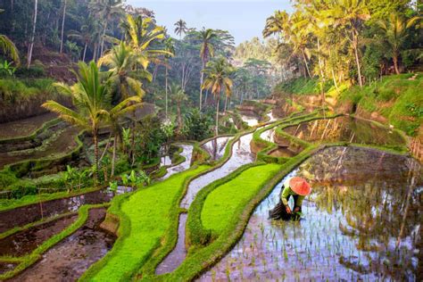 Beautiful Bali: How to plan a trip to Bali from India? | Times of India ...