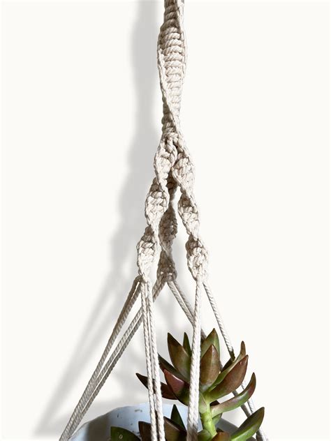 Buy Spiral Ivory Plant Hanger Plant Hanger Online for Indoor Plants ...
