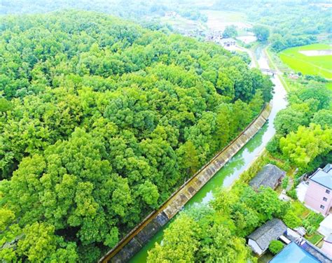 立行立改丨湘潭高新區七個「退出綠心」項目達到整改要求 - 幫趣