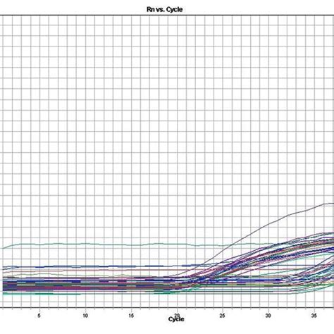 Real-Time PCR Graph 的图像结果