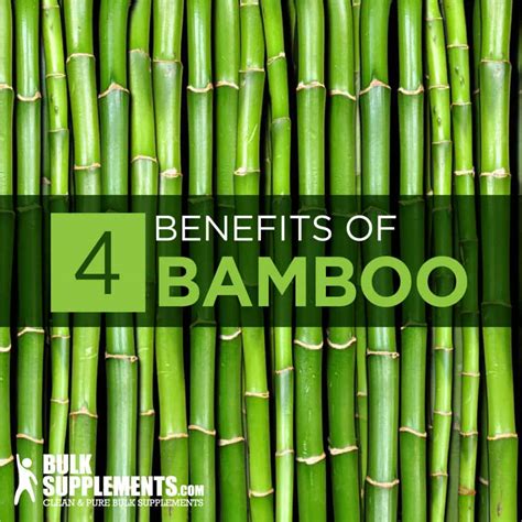 What Is Bamboo Health at Irish Lin blog