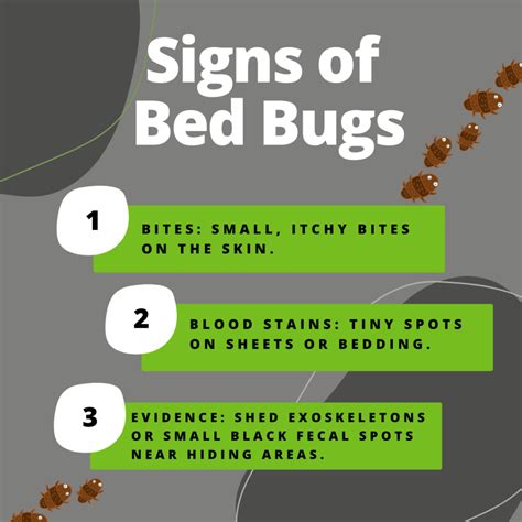 Do Bed Bugs Jump? - All South Pest Control