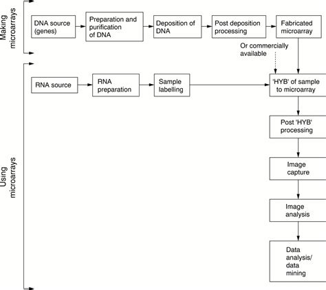 Microarray Method 的图像结果