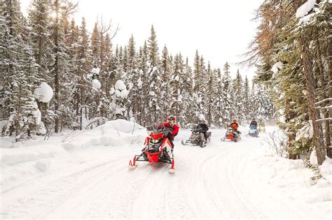 Snowmobiling Alberta 的图像结果