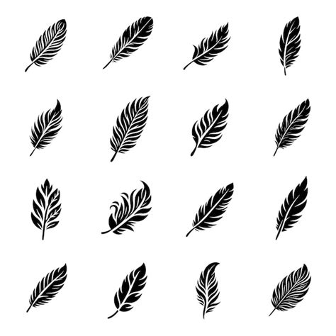 Set of bird feathers vector silhouette icons for writing nature and ...