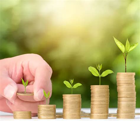 Forestry 的图像结果