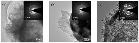 The Correlation of Pore Size and Bioactivity of Spray-Pyrolyzed ...