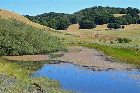 Orinda Tourism (2024): All You Need to Know Before You Go