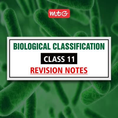 Image result for Biological Classification Class 11 Animation
