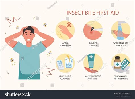 First Aid For Dog Insect Bite at John Silverman blog